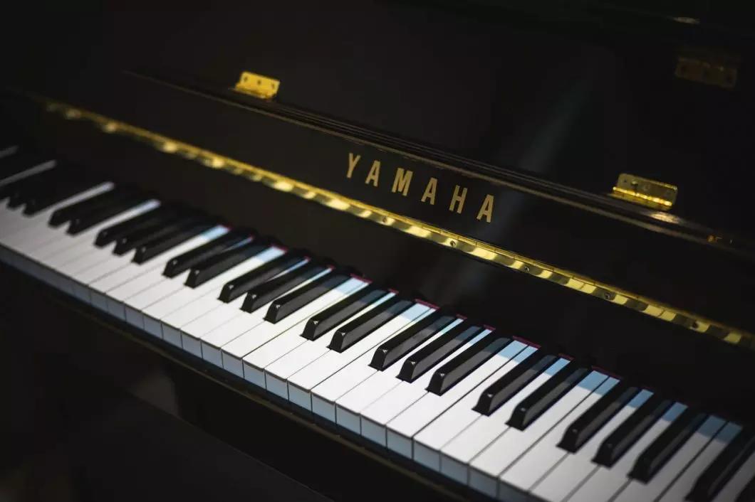 El Piano Es Un Instrumento De Cuerda Codycross